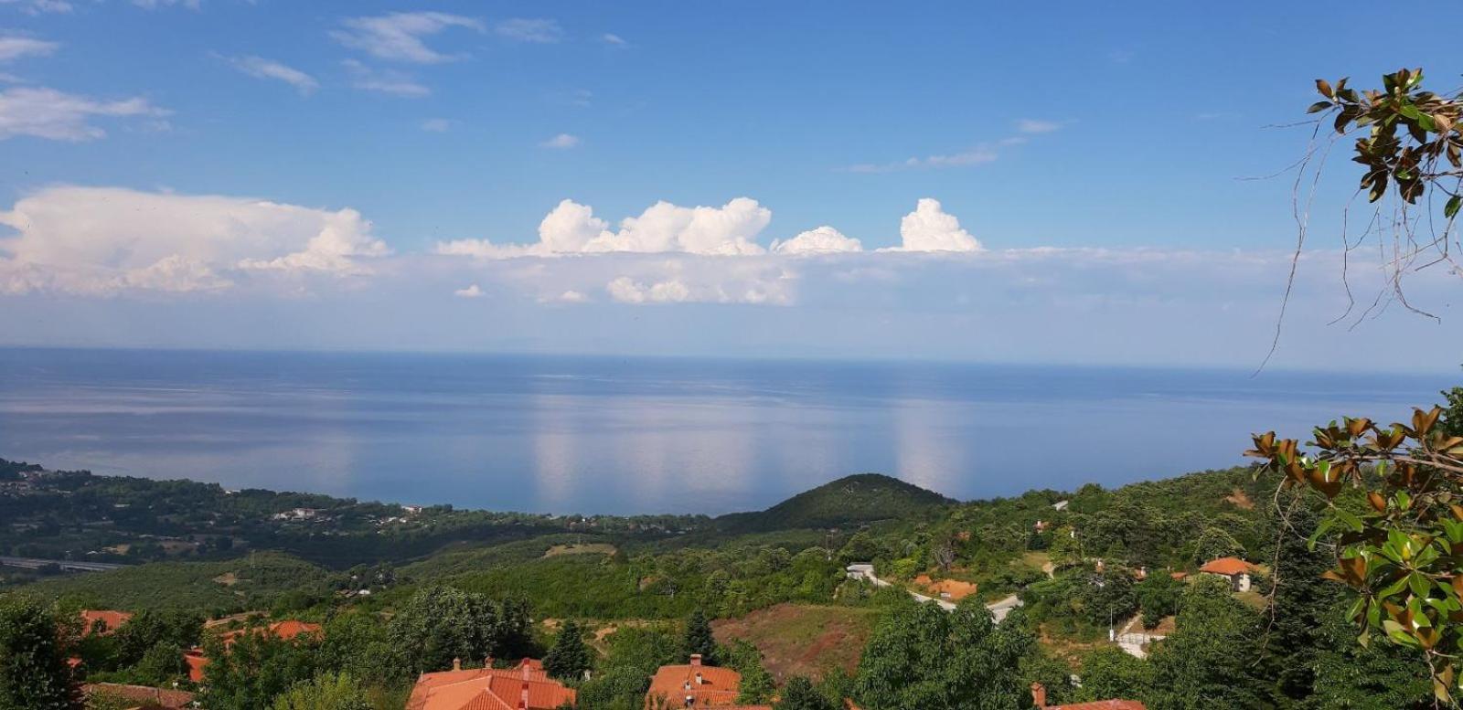 Guesthouse Erato Palaios Panteleimonas Eksteriør billede