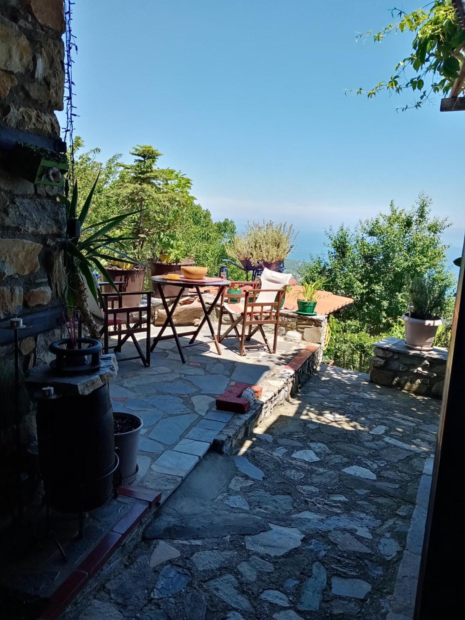 Guesthouse Erato Palaios Panteleimonas Værelse billede